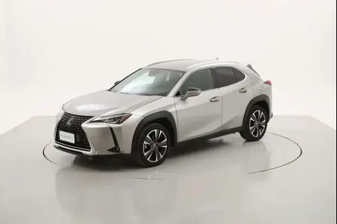 Used LEXUS UX Hybrid 2019 Ad 