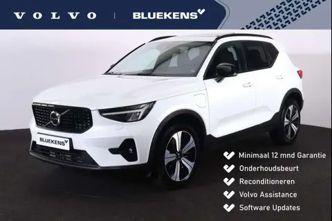 Used VOLVO XC40 Hybrid 2022 Ad 