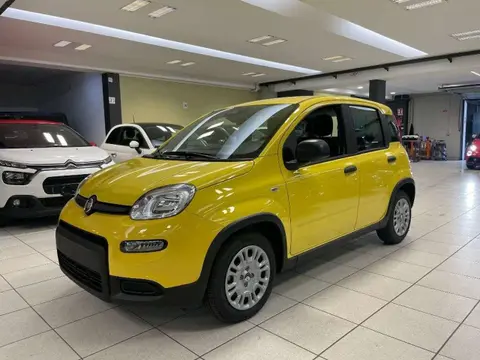 Used FIAT PANDA Hybrid 2024 Ad 