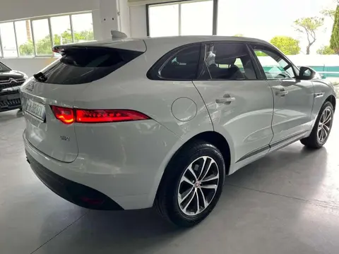 Annonce JAGUAR F-PACE Diesel 2017 d'occasion 