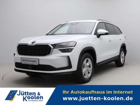 Annonce SKODA KODIAQ Diesel 2024 d'occasion 