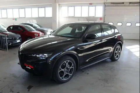 Used ALFA ROMEO STELVIO Diesel 2023 Ad 