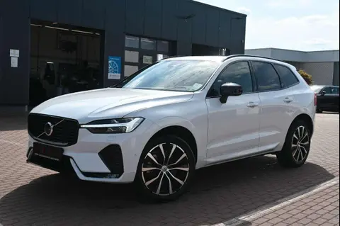 Used VOLVO XC60 Petrol 2022 Ad 