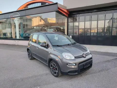 Annonce FIAT PANDA Hybride 2022 d'occasion 