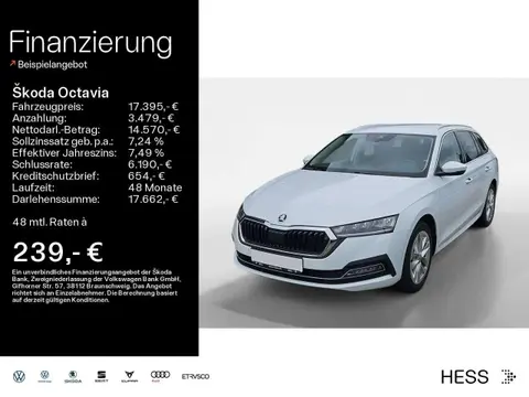 Used SKODA OCTAVIA Petrol 2020 Ad 