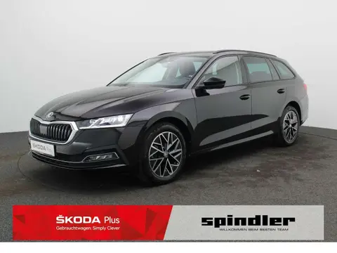 Annonce SKODA OCTAVIA Diesel 2021 d'occasion 