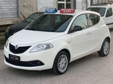 Annonce LANCIA YPSILON GPL 2019 d'occasion 