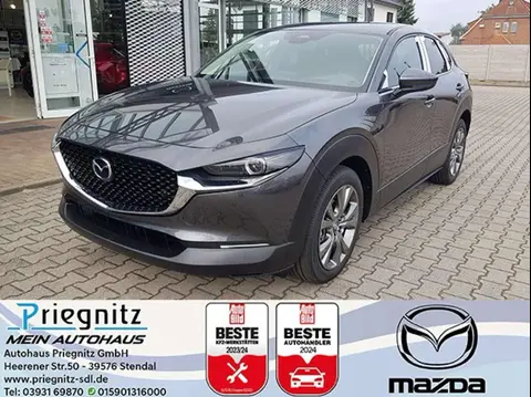 Used MAZDA CX-30 Hybrid 2024 Ad 