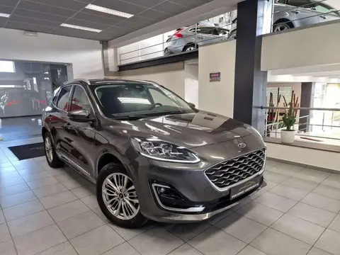 Used FORD KUGA Hybrid 2023 Ad 