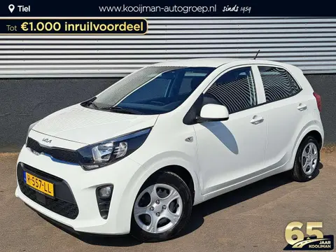 Used KIA PICANTO Petrol 2022 Ad 