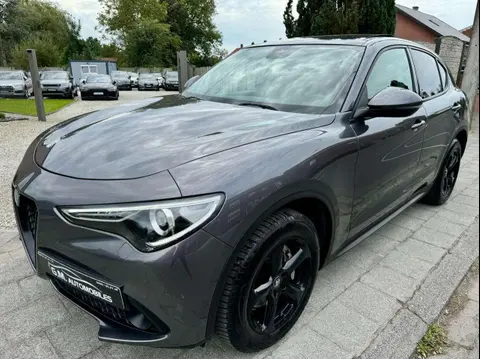 Used ALFA ROMEO STELVIO Diesel 2017 Ad 