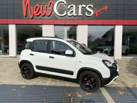 Used FIAT PANDA Hybrid 2023 Ad 