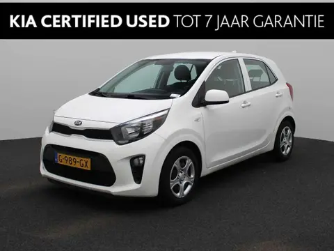 Used KIA PICANTO Petrol 2019 Ad 