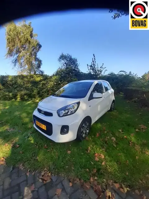 Used KIA PICANTO Petrol 2017 Ad 