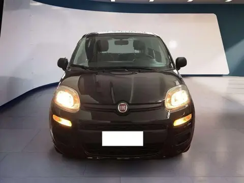 Used FIAT PANDA Hybrid 2022 Ad 