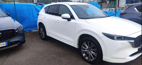 Annonce MAZDA CX-5 Diesel 2023 d'occasion 