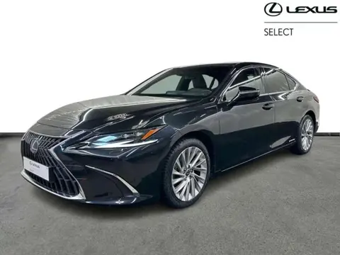 Used LEXUS ES Hybrid 2022 Ad 