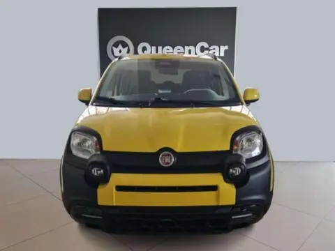 Annonce FIAT PANDA Hybride 2024 d'occasion 