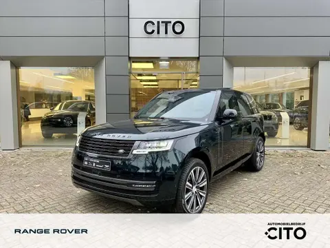 Used LAND ROVER RANGE ROVER Hybrid 2024 Ad 