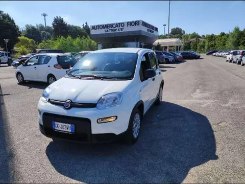 Annonce FIAT PANDA Hybride 2022 d'occasion 