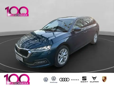 Annonce SKODA OCTAVIA Diesel 2020 d'occasion 