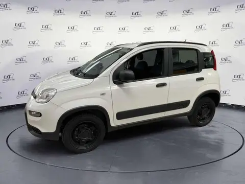 Annonce FIAT PANDA Essence 2019 d'occasion 