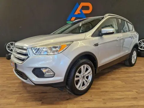 Used FORD KUGA Diesel 2017 Ad 