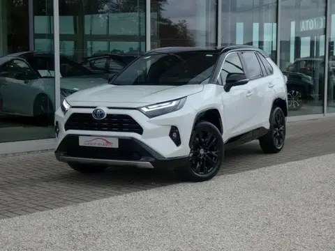 Used TOYOTA RAV4 Hybrid 2023 Ad 