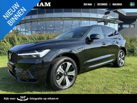 Annonce VOLVO XC60 Hybride 2023 d'occasion 