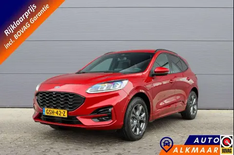 Used FORD KUGA Hybrid 2021 Ad 