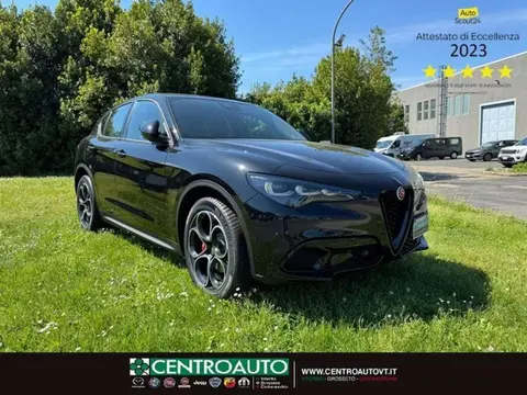 Annonce ALFA ROMEO STELVIO Diesel 2024 d'occasion 