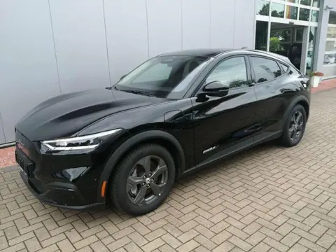 Used FORD MUSTANG Electric 2023 Ad 