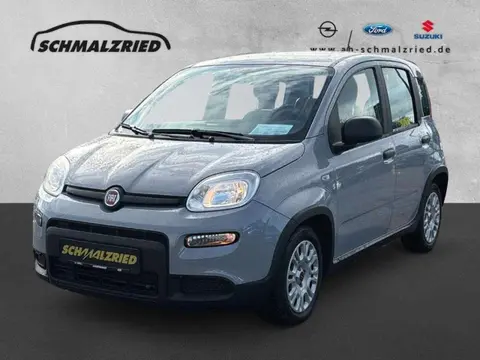 Annonce FIAT PANDA Hybride 2022 d'occasion 