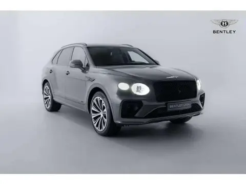 Used BENTLEY BENTAYGA Hybrid 2022 Ad 