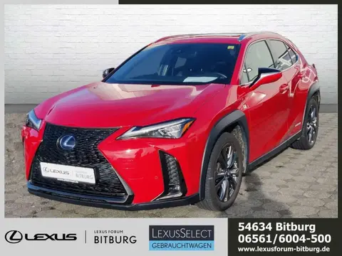 Used LEXUS UX Hybrid 2020 Ad 