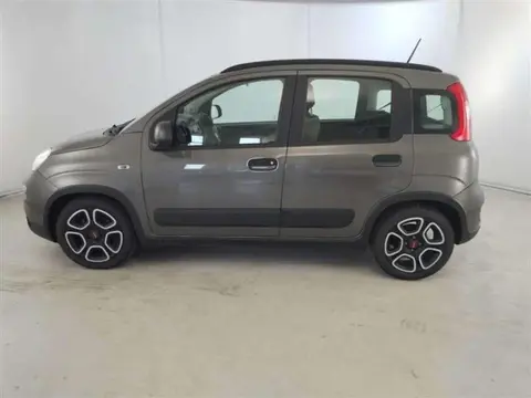 Used FIAT PANDA Hybrid 2021 Ad 