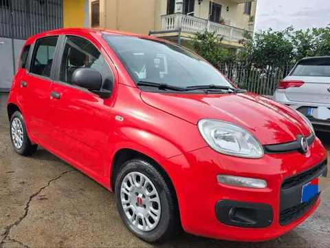 Annonce FIAT PANDA Diesel 2019 d'occasion 