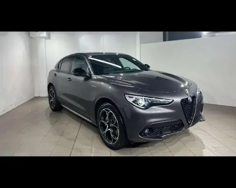 Annonce ALFA ROMEO STELVIO Diesel 2022 d'occasion 