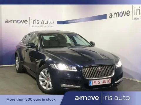 Annonce JAGUAR XF Diesel 2016 d'occasion 