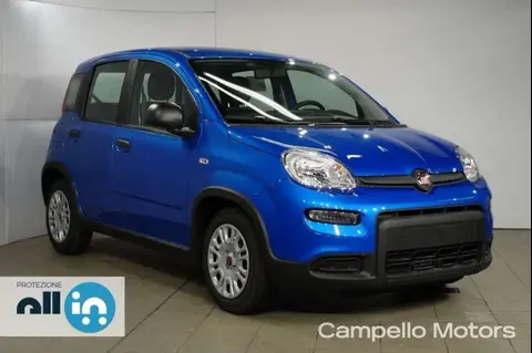 Used FIAT PANDA Hybrid 2024 Ad 