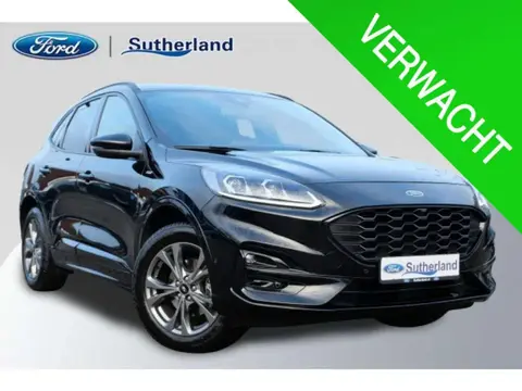 Used FORD KUGA Hybrid 2024 Ad 