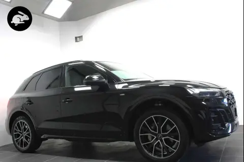 Used AUDI Q5 Hybrid 2021 Ad 