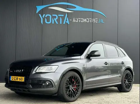 Annonce AUDI SQ5 Diesel 2015 d'occasion 