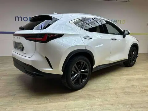 Used LEXUS NX Hybrid 2024 Ad 