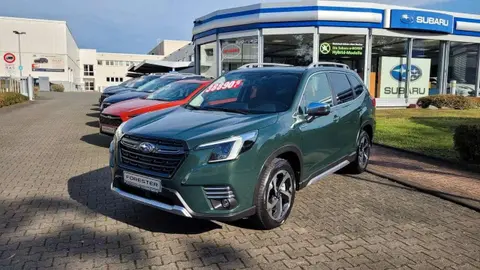 Annonce SUBARU FORESTER Hybride 2024 d'occasion 