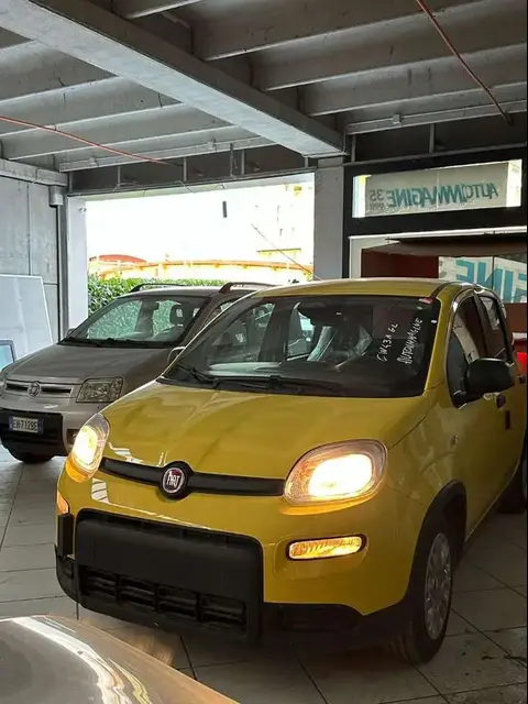 Annonce FIAT PANDA Hybride 2024 d'occasion 