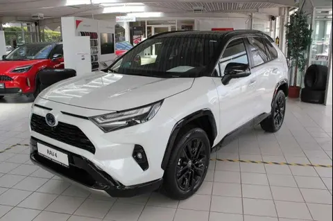 Used TOYOTA RAV4 Hybrid 2023 Ad 