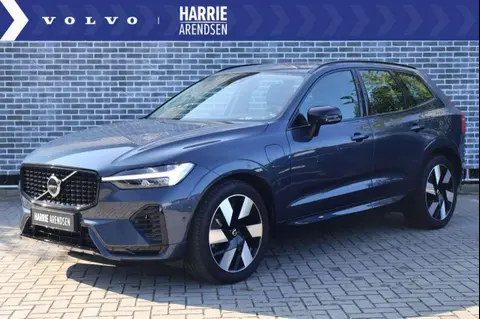 Used VOLVO XC60 Hybrid 2024 Ad 