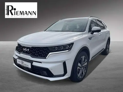 Annonce KIA SORENTO Diesel 2024 d'occasion 