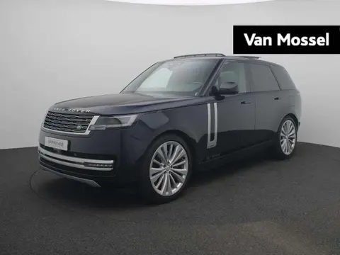 Used LAND ROVER RANGE ROVER Hybrid 2024 Ad 